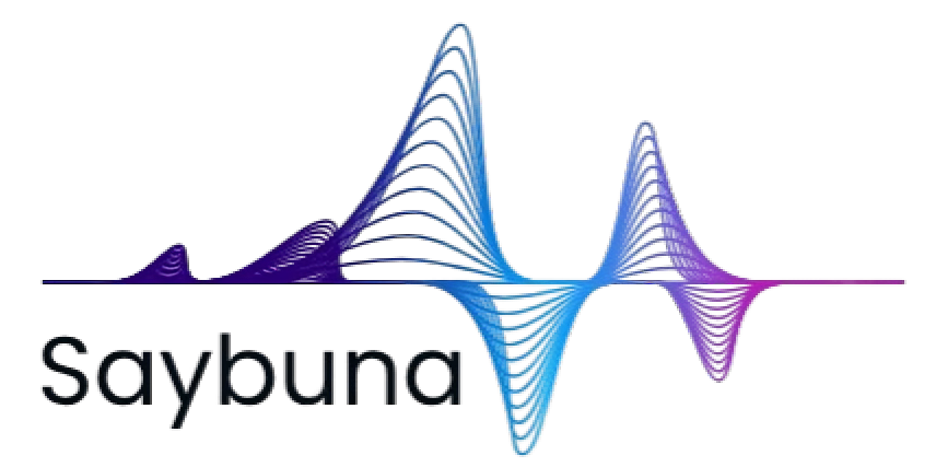 Saybuna Business VoIP & Cloud PBX Solutions in Orlando